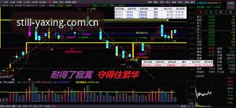 亚星中国会员登录 揭秘亚星中国会员登录:一个70后玩家的实战手记